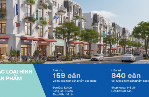 TỔNG HỢP GIỎ HÀNG VLASATA THỦY NGUYÊN – GIÁ TỐT NHẤT THỜI ĐIỂM NÀY